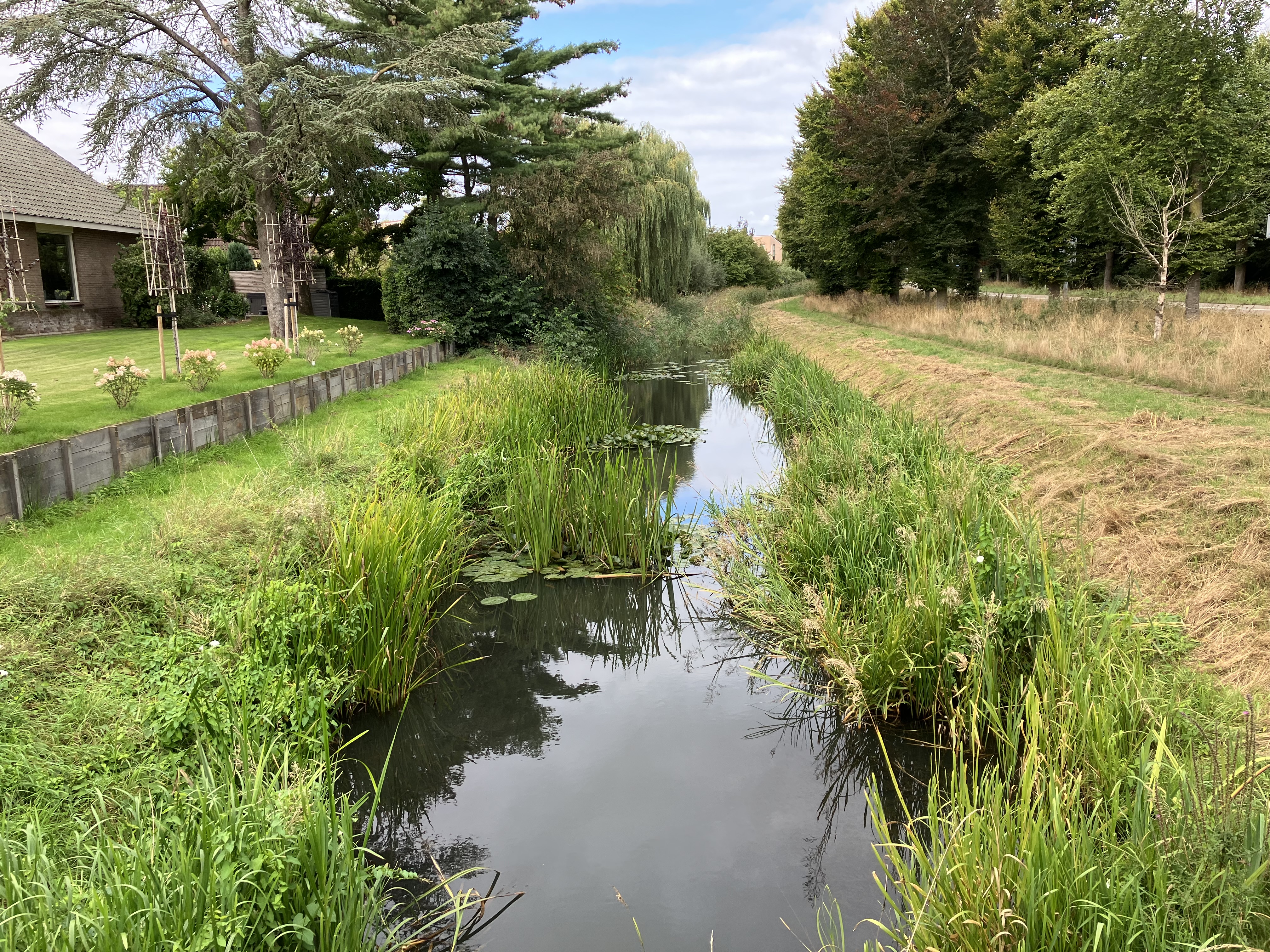 Een deel van de singel in Warnsveld waar we gaan baggeren.