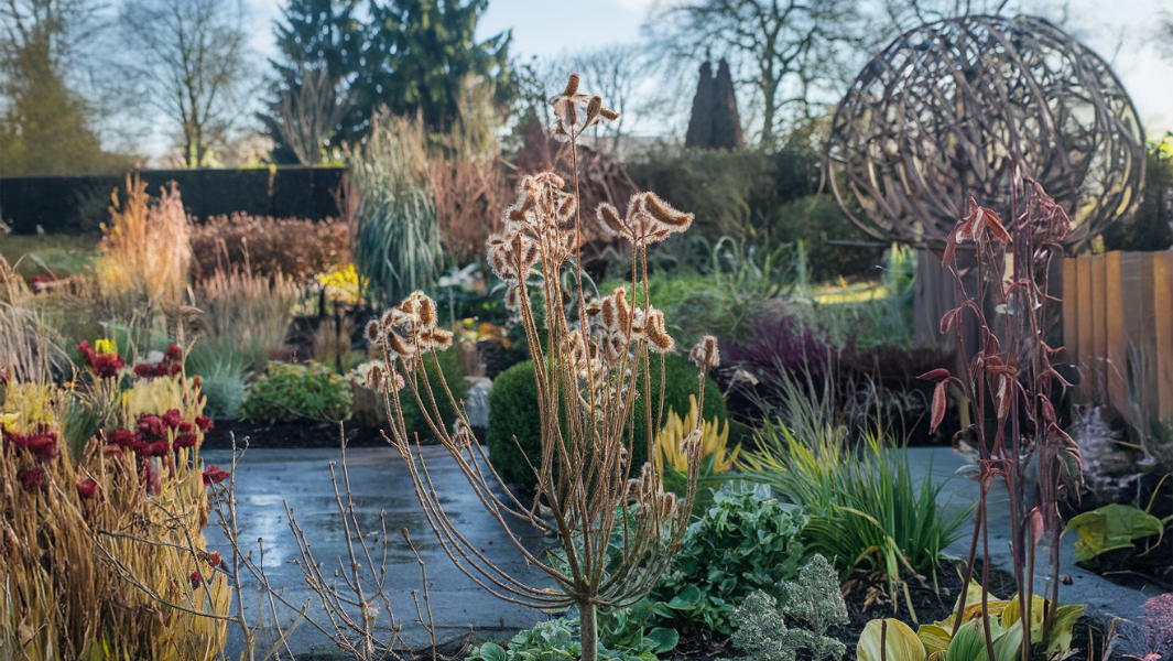 Planten in een natte tuin in februari (afbeelding gemaakt met AI)