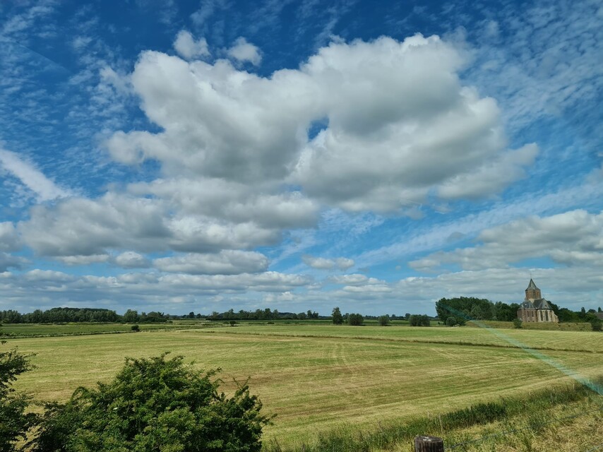 Droge weilanden bij Oud Zevenaar in juni 2022