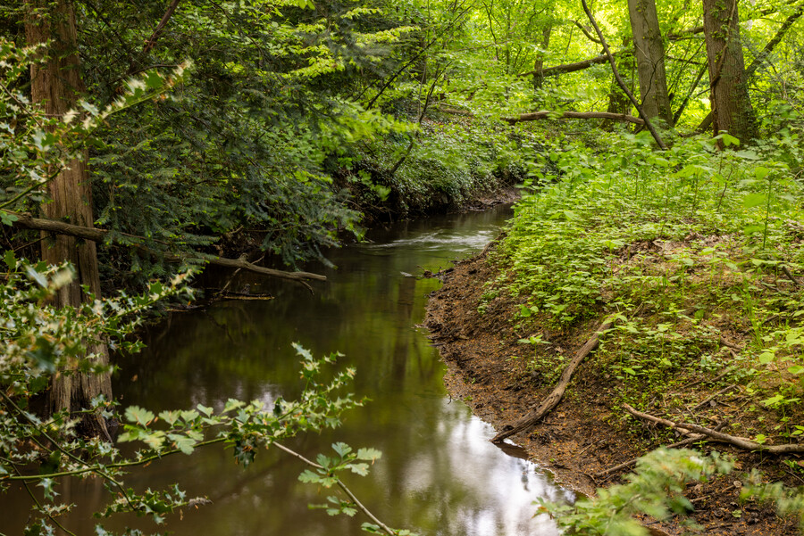 De Ratumse Beek in de buurt van Woold