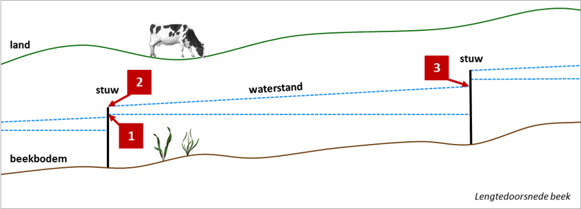 Op de tekening zie je de ondergrens bij nummer 1. En de bovengrens tussen nummer 2 en 3. Hierbinnen kan het waterpeil onder normale omstandigheden veranderen. Binnen deze grenzen zijn de waterpeilen zo gunstig mogelijk afgestemd op de landbouwfunctie in het gebied.