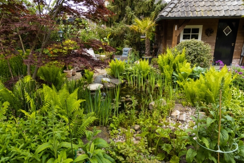 vijver of wadi in een mooie groente tuin