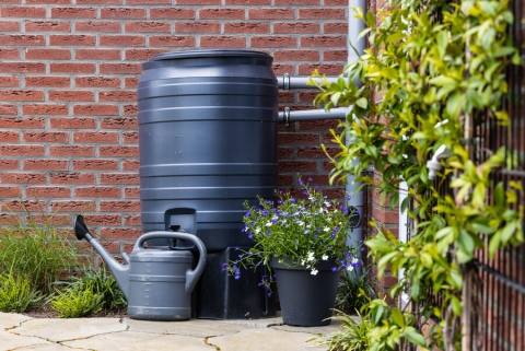 plastic regenton aangesloten op regenpijp.