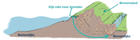Het binnentalud kan ook minder stevig worden, doordat de dijk van binnen erg nat wordt en vol raakt met water. Als dat gebeurt, drukken de gronddeeltjes niet meer goed op elkaStevigheid van de dijk aan de landzijde. Hierdoor is de dijk niet meer sterk genoeg en zakt de dijk naar beneden.