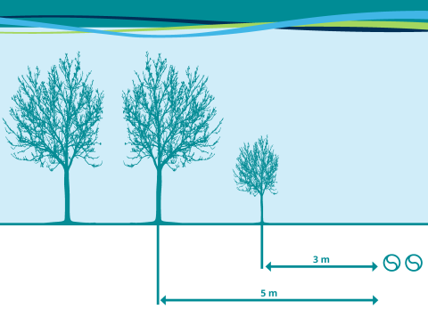 Plant grote bomen op minimaal 5 meter van de persleiding. Kleinere bomen mogen op 3 meter afstand van de persleiding