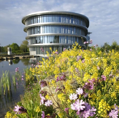 Waterschapskantoor met bloeiende planten op de voorgrond.