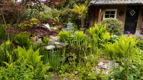 wadi in groene tuin