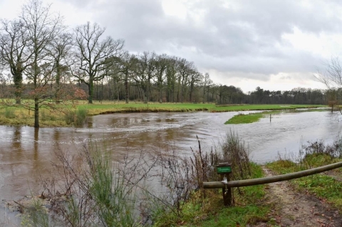 Buurserbeek staat vol tot aan de rand.