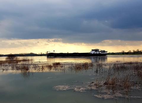 IJssel: hoog water bij zondsondergang