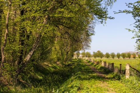 Natuur op de Wildenborch