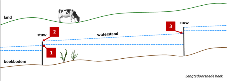 Op de tekening zie je de ondergrens bij nummer 1. En de bovengrens tussen nummer 2 en 3. Hierbinnen kan het waterpeil onder normale omstandigheden veranderen. Binnen deze grenzen zijn de waterpeilen zo gunstig mogelijk afgestemd op de landbouwfunctie in het gebied.