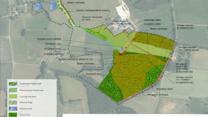 We ontwikkelen nieuwe natuur en versterken bestaande natuur. We verleggen de beek Heksenlaak. En we maken de beek ondieper. Daarnaast leggen we een bos aan dat een groot deel van het jaar onder water staat. Dat noemen we een broekbos. Bij de oorsprong van de beek in het Rammelgoor zitten veel voedingsstoffen in de bodem. Hier graven we de bovenste laag van de bodem, met veel nitraat en fosfaat, af. Hier komt dan weer schoon en kalkrijk kwelwater boven de grond.