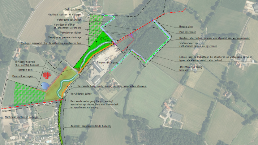 We ontwikkelen nieuwe natuur en versterken bestaande natuur. We verleggen de beek Heksenlaak. En we maken de beek ondieper. Daarnaast leggen we een bos aan dat een groot deel van het jaar onder water staat. Dat noemen we een broekbos. Bij de oorsprong van de beek in het Rammelgoor zitten veel voedingsstoffen in de bodem. Hier graven we de bovenste laag van de bodem, met veel nitraat en fosfaat, af. Hier komt dan weer schoon en kalkrijk kwelwater boven de grond.