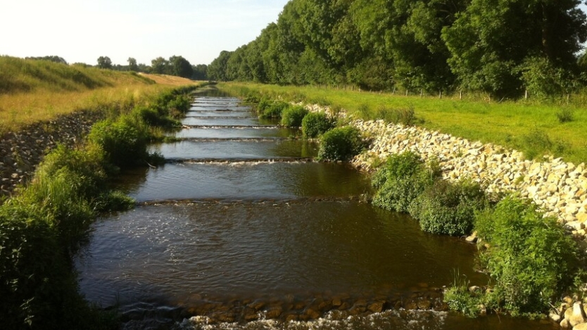Vispassage Ramsbeek. Een vispassage met traptreden.