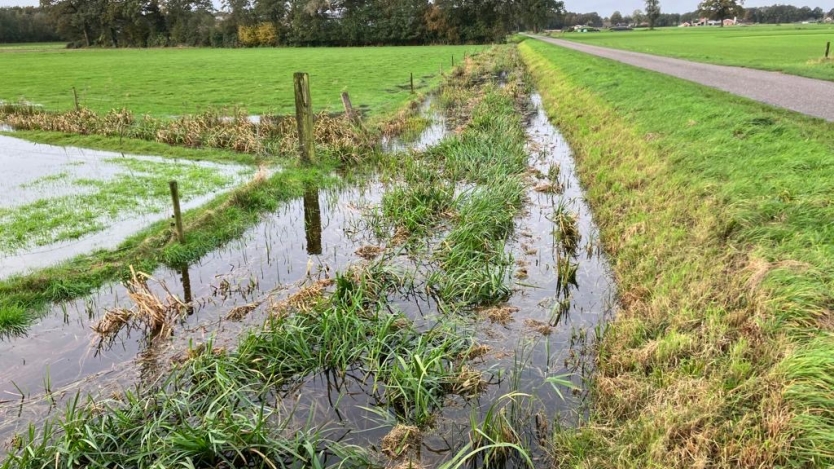 Overvolle sloot in Beltrum