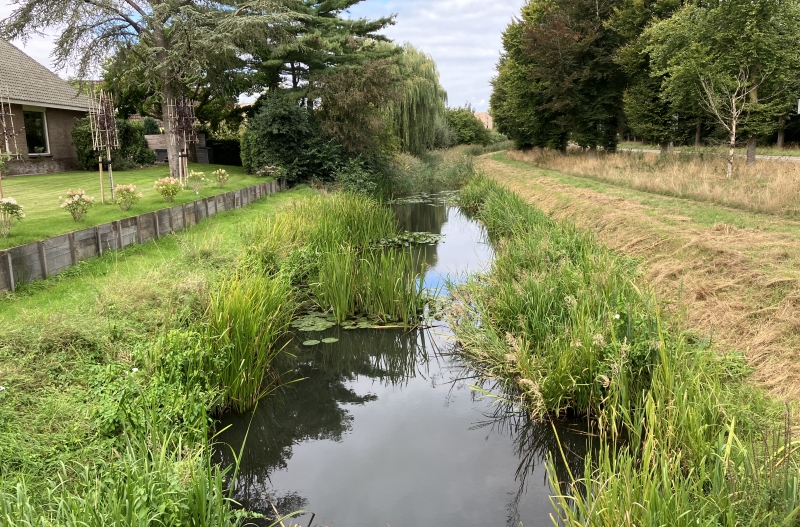 Een deel van de singel in Warnsveld waar we gaan baggeren.