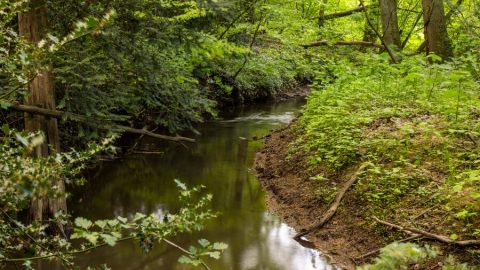 De Ratumse Beek in de buurt van Woold