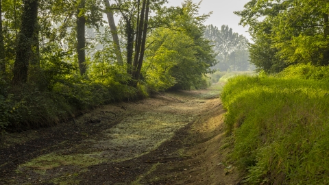 Droogvallende Baakse Beek in de zomer van 2025