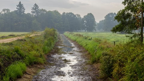 Droogval Baakse Beek